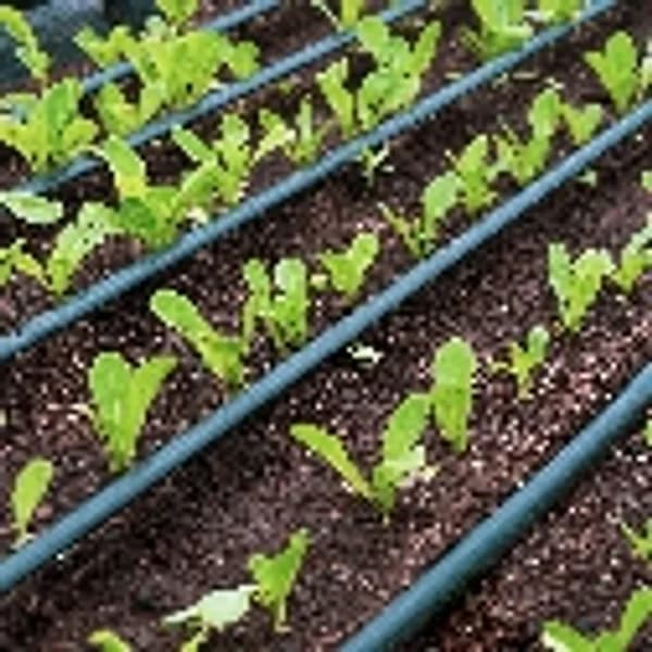 Irrigation Pipes & Drip Systems
